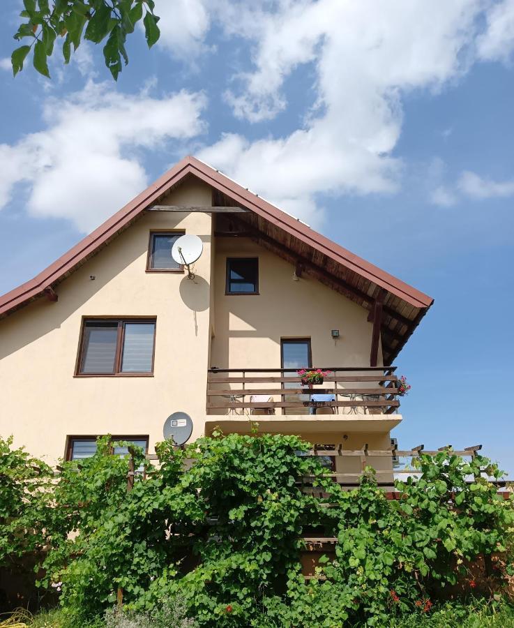 Wynajem Pokoi Wiki Apartment Mikolajki  Exterior photo